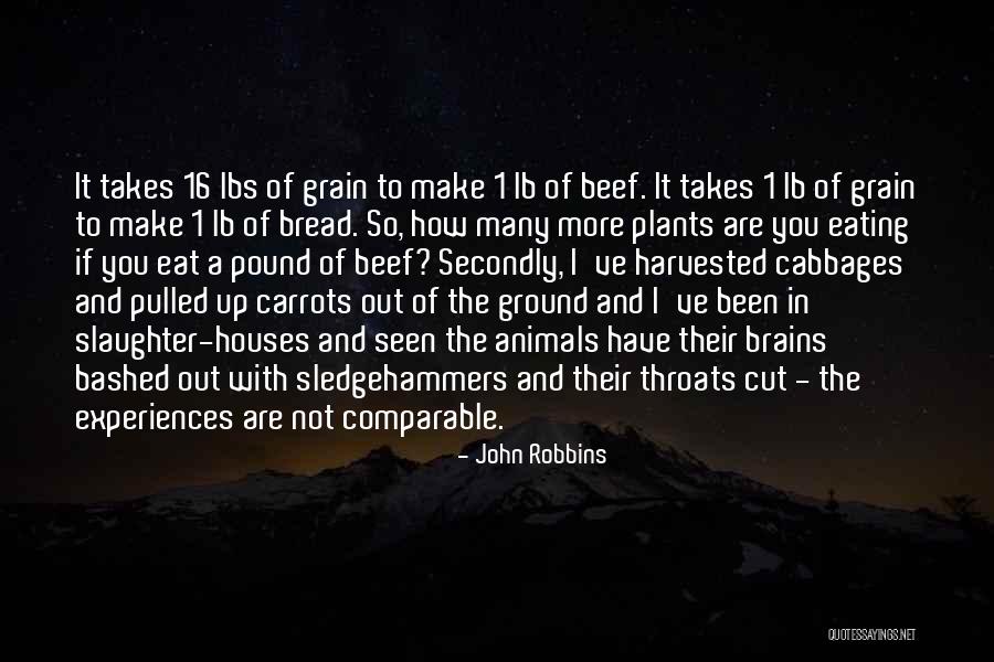 Wardina Fernandez Quotes By John Robbins Wardina Fernandez Quotes By John Robbins