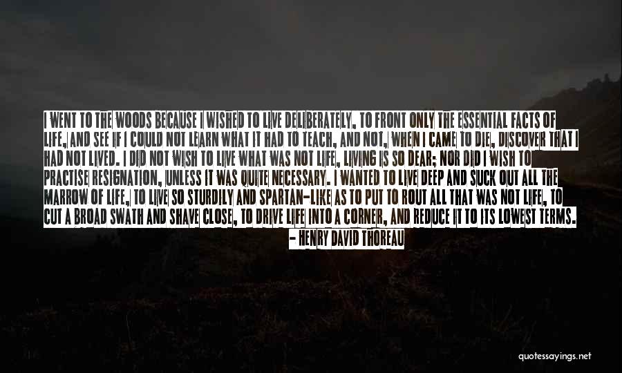 Warehime Myers Quotes By Henry David Thoreau Warehime Myers Quotes By Henry David Thoreau