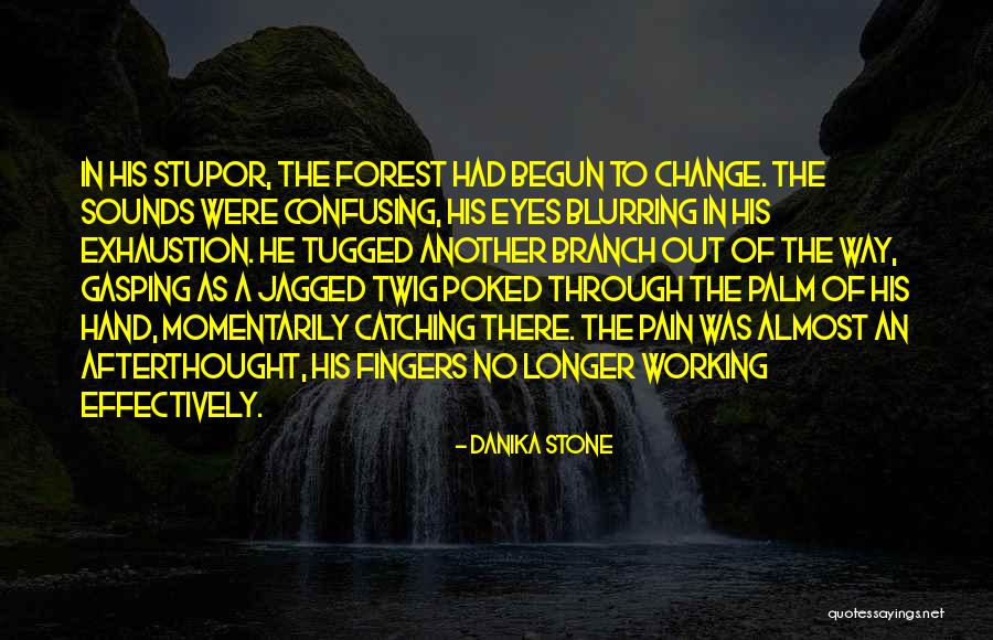 Warendorfer Quotes By Danika Stone Warendorfer Quotes By Danika Stone