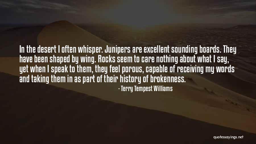 Warfares Quotes By Terry Tempest Williams Warfares Quotes By Terry Tempest Williams