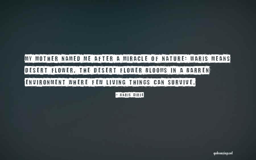 Waris Dirie Quotes 1737038 Waris Dirie Quotes 1737038