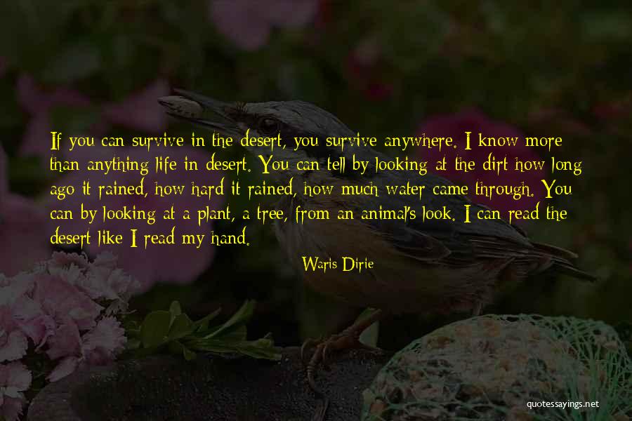 Waris Dirie Quotes 2189135 Waris Dirie Quotes 2189135