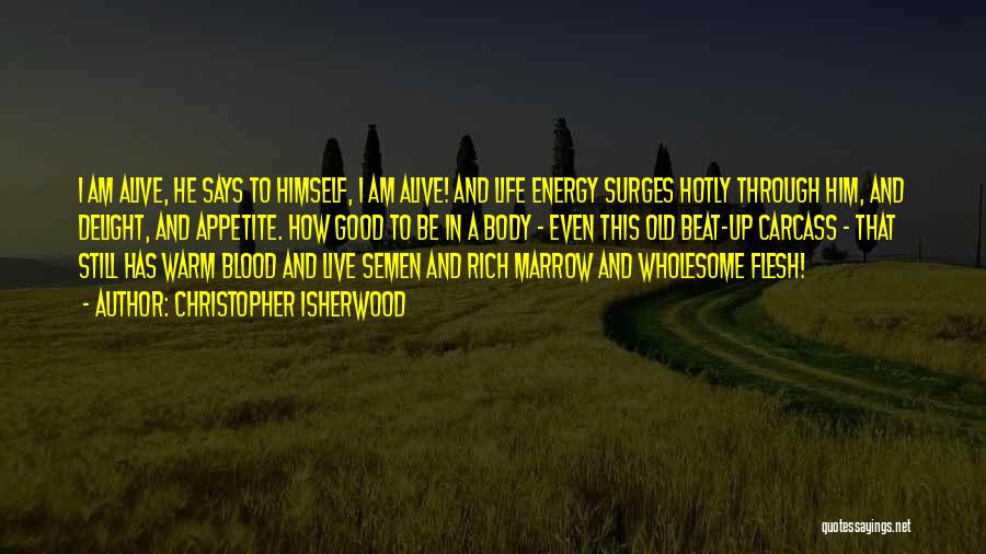 Warm Blood Quotes By Christopher Isherwood