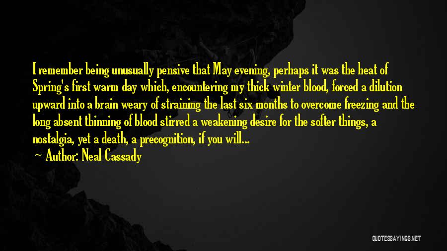 Warm Blood Quotes By Neal Cassady