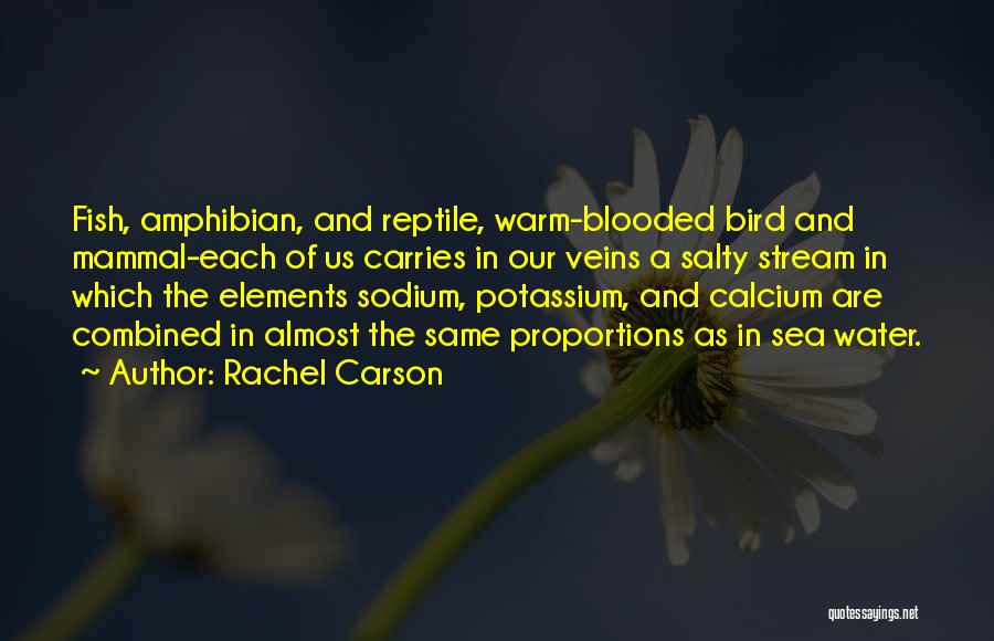 Warm Blooded Quotes By Rachel Carson