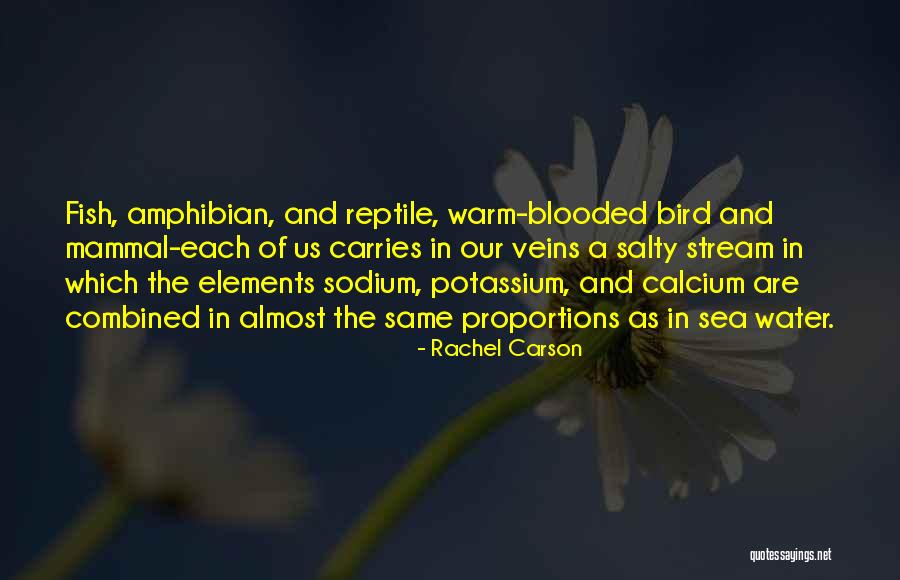 Warm Blooded Quotes By Rachel Carson