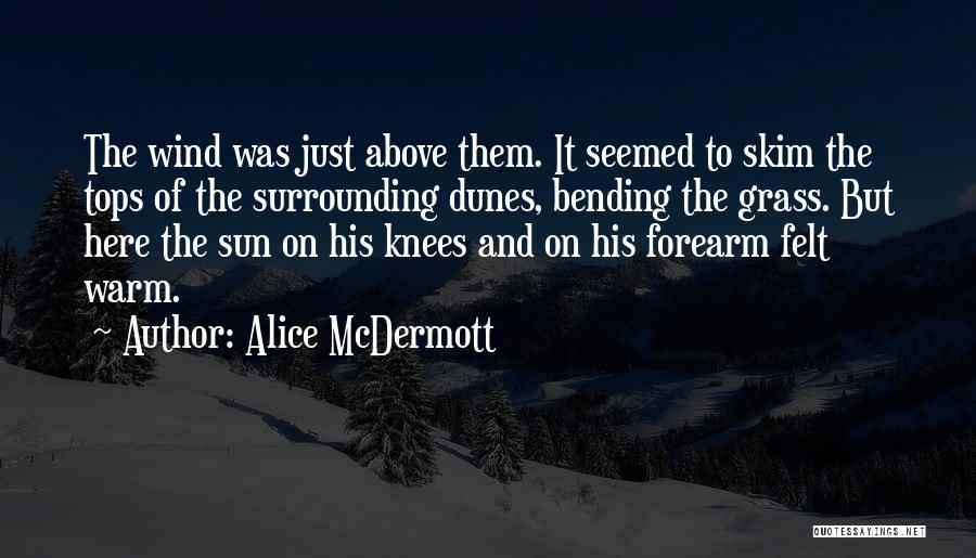 Warm Felt Quotes By Alice McDermott