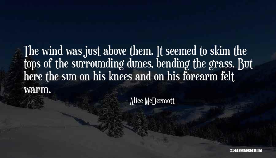 Warm Felt Quotes By Alice McDermott