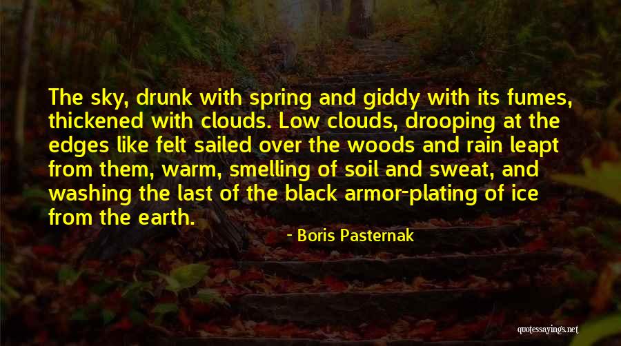 Warm Felt Quotes By Boris Pasternak