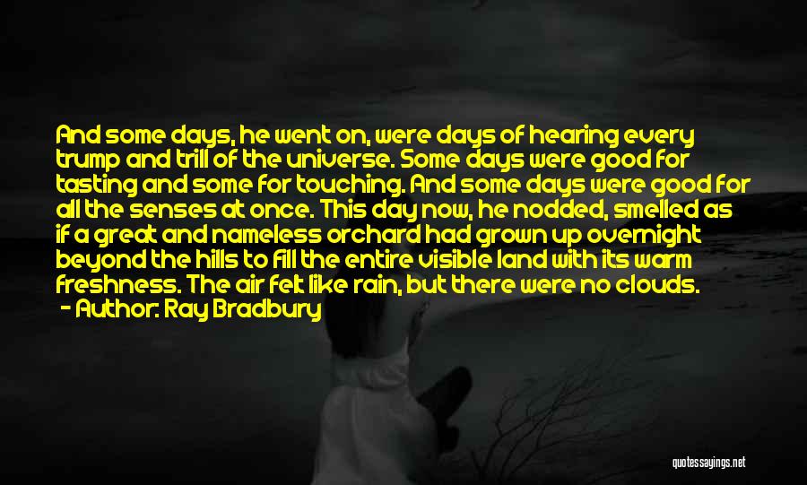 Warm Felt Quotes By Ray Bradbury