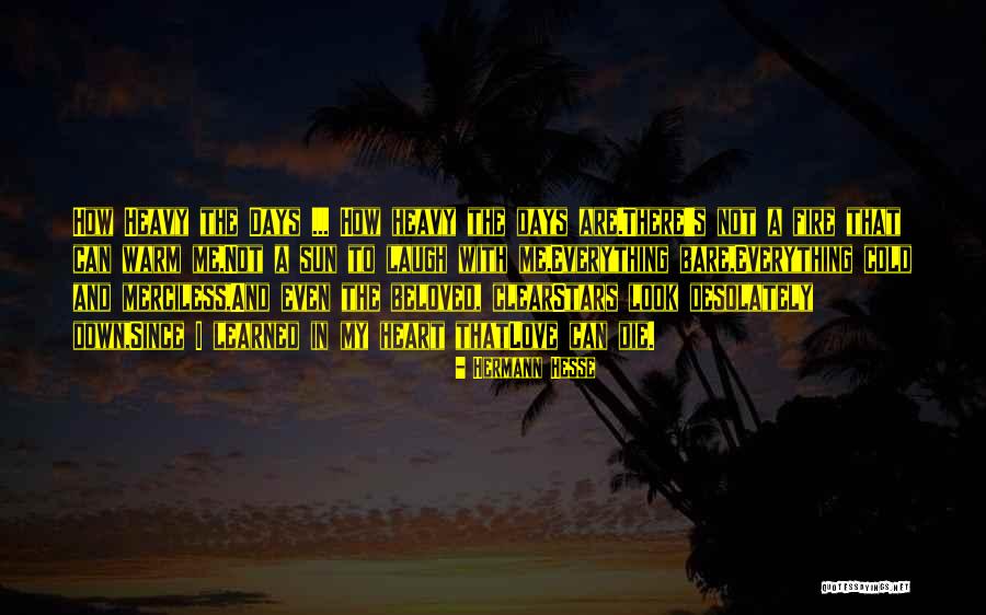 Warm My Heart Quotes By Hermann Hesse Warm My Heart Quotes By Hermann Hesse