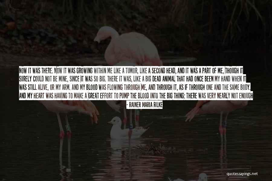Warm My Heart Quotes By Rainer Maria Rilke Warm My Heart Quotes By Rainer Maria Rilke