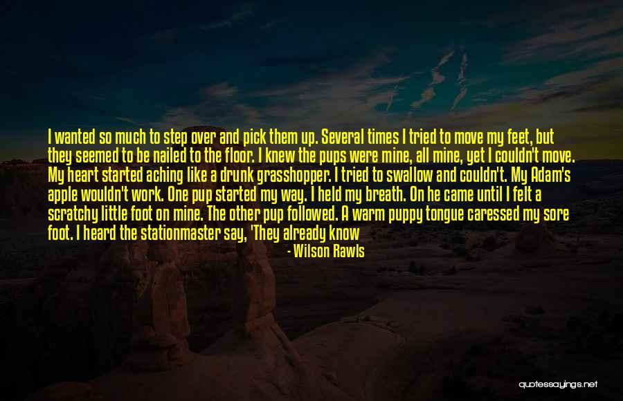 Warm My Heart Quotes By Wilson Rawls Warm My Heart Quotes By Wilson Rawls