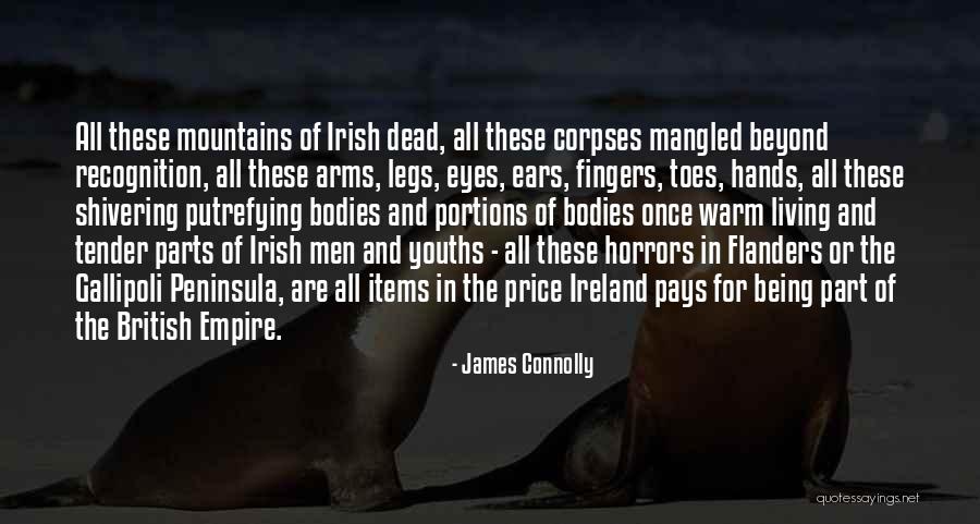 Warm Toes Quotes By James Connolly