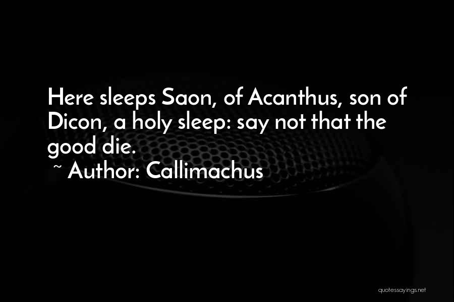 Warm Tones Quotes By Callimachus