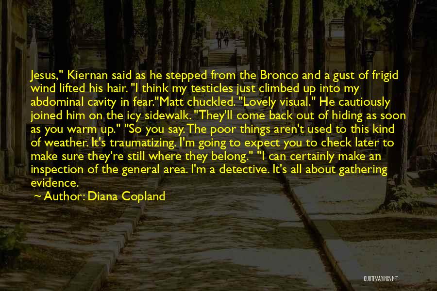 Warm Weather Quotes By Diana Copland