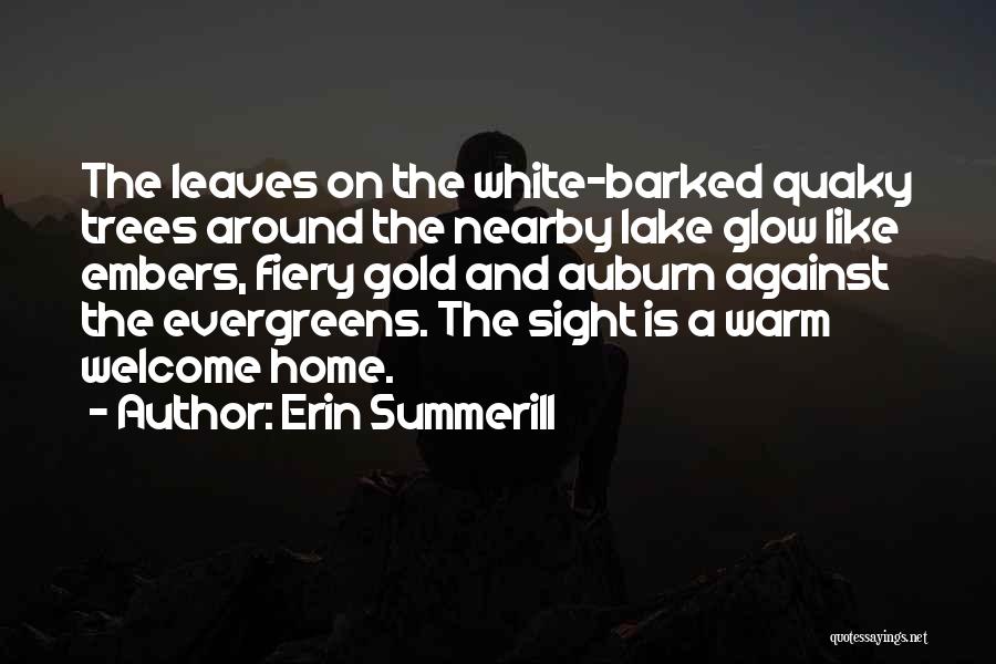 Warm Welcome Quotes By Erin Summerill