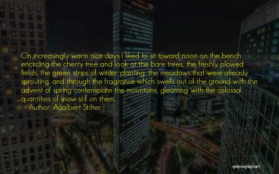 Warm Winter Days Quotes By Adalbert Stifter