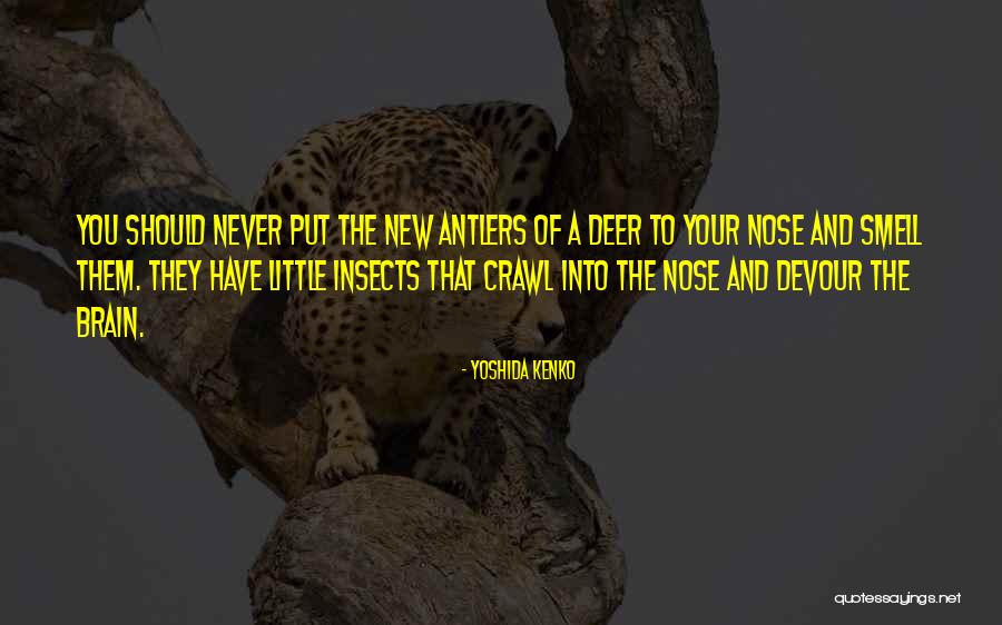 Warmane Wow Quotes By Yoshida Kenko Warmane Wow Quotes By Yoshida Kenko