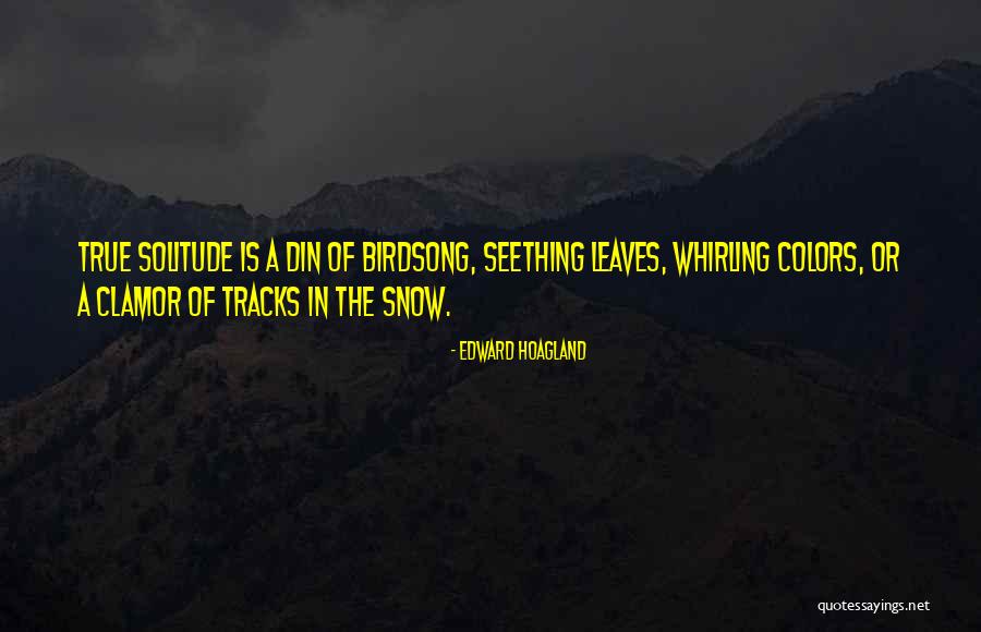 Warmed Synonym Quotes By Edward Hoagland Warmed Synonym Quotes By Edward Hoagland