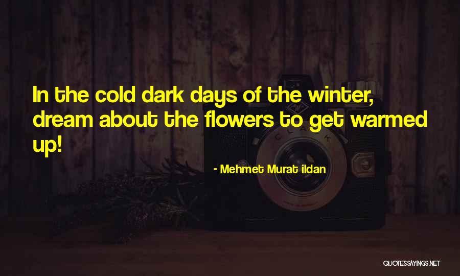 Warmed Up Quotes By Mehmet Murat Ildan Warmed Up Quotes By Mehmet Murat Ildan