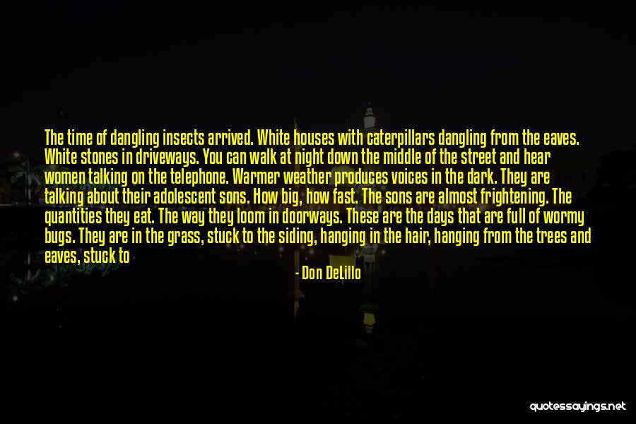 Warmer Weather Quotes By Don DeLillo Warmer Weather Quotes By Don DeLillo