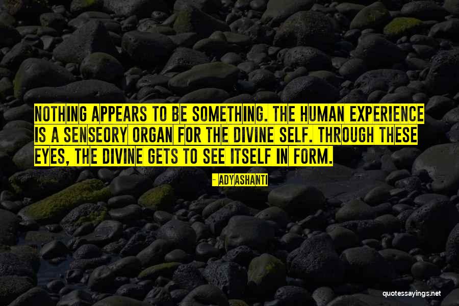 Warming Store Quotes By Adyashanti Warming Store Quotes By Adyashanti