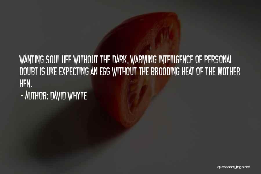 Warming The Soul Quotes By David Whyte