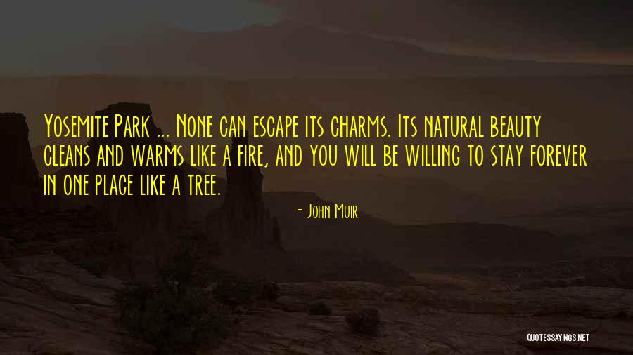 Warms Quotes By John Muir Warms Quotes By John Muir