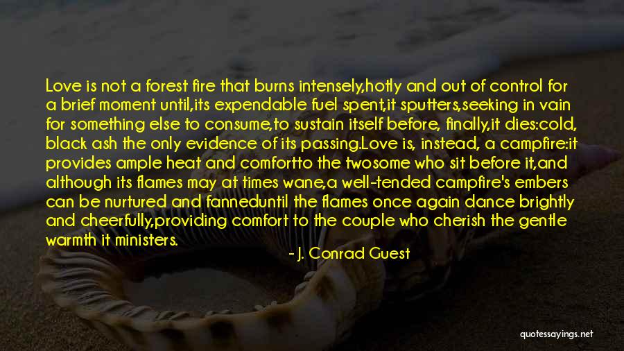 Warmth And Comfort Quotes By J. Conrad Guest