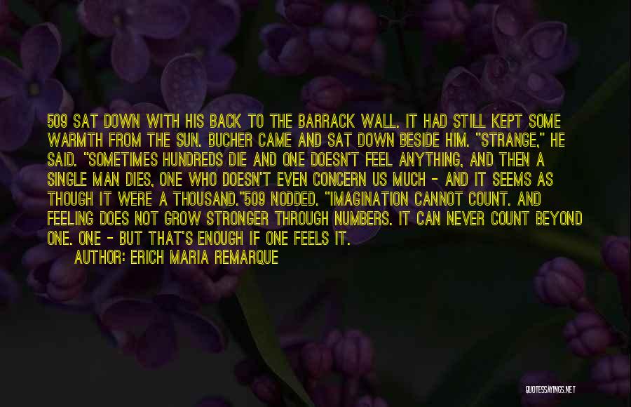 Warmth Feeling Quotes By Erich Maria Remarque