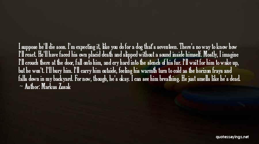 Warmth Feeling Quotes By Markus Zusak