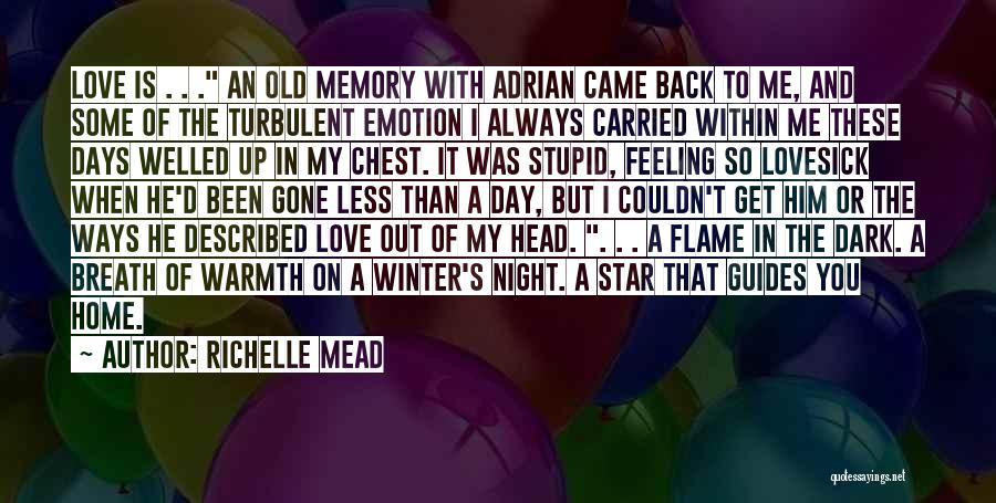 Warmth Feeling Quotes By Richelle Mead