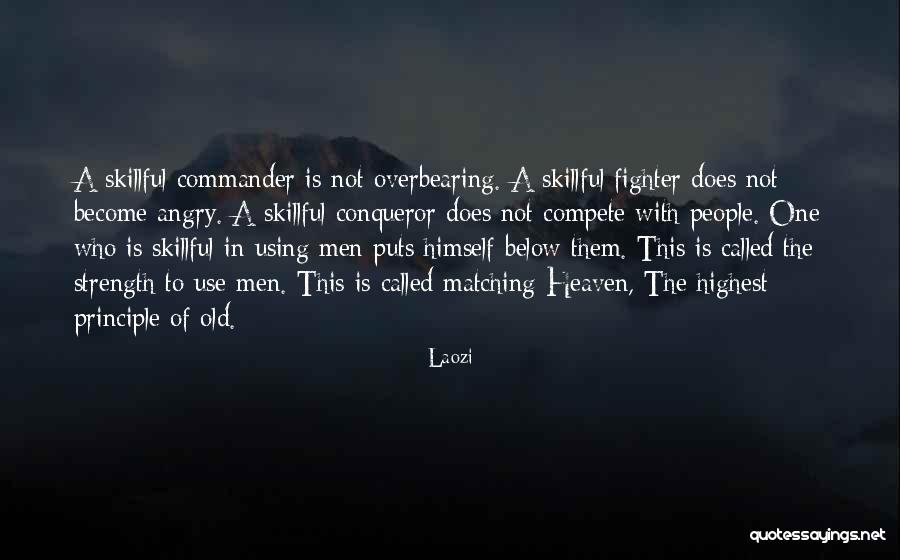 Warnier Strassen Quotes By Laozi Warnier Strassen Quotes By Laozi