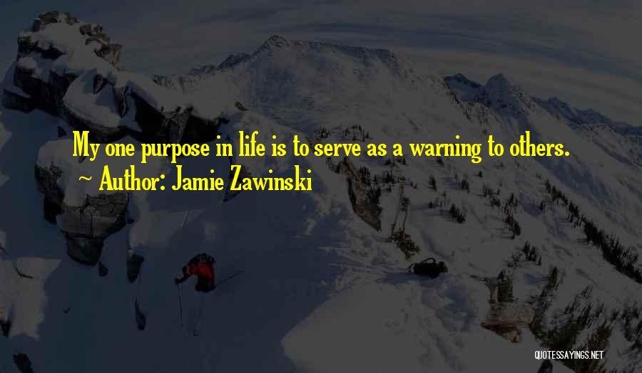 Warning Others Quotes By Jamie Zawinski