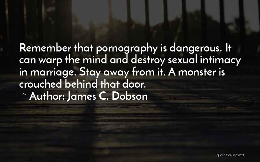 Warp Quotes By James C. Dobson