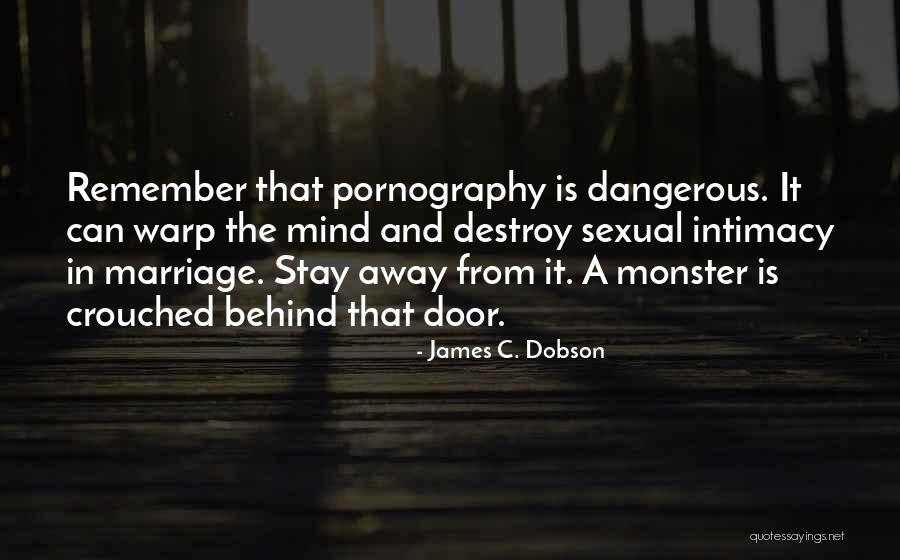 Warp Quotes By James C. Dobson