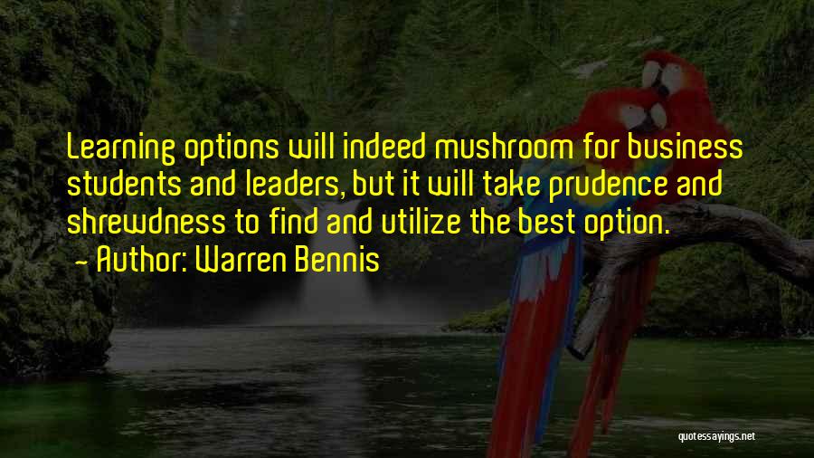 Warren Bennis Quotes 1055532