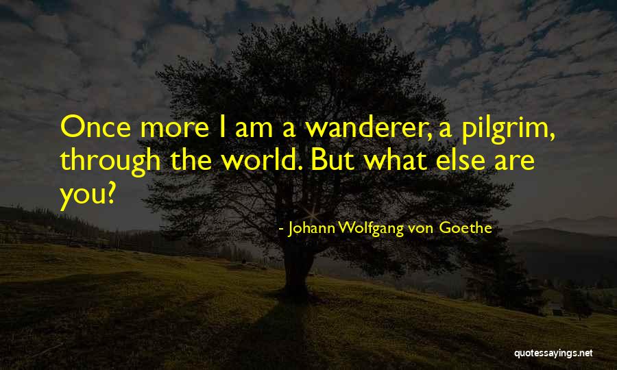 Warrigal Greens Quotes By Johann Wolfgang Von Goethe Warrigal Greens Quotes By Johann Wolfgang Von Goethe
