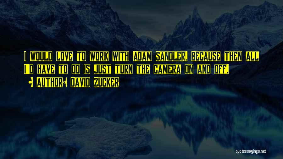 Warriner Quotes By David Zucker