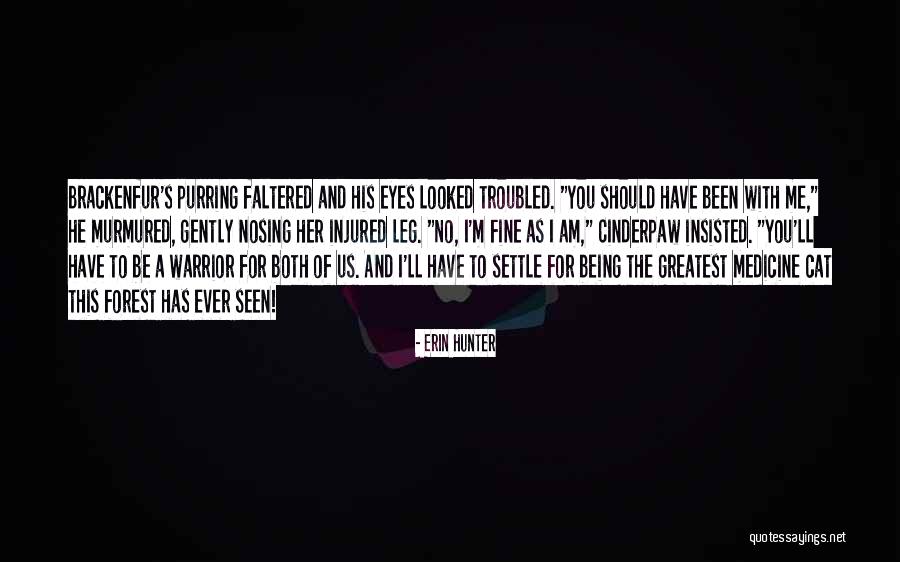 Warrior Cat Quotes By Erin Hunter Warrior Cat Quotes By Erin Hunter