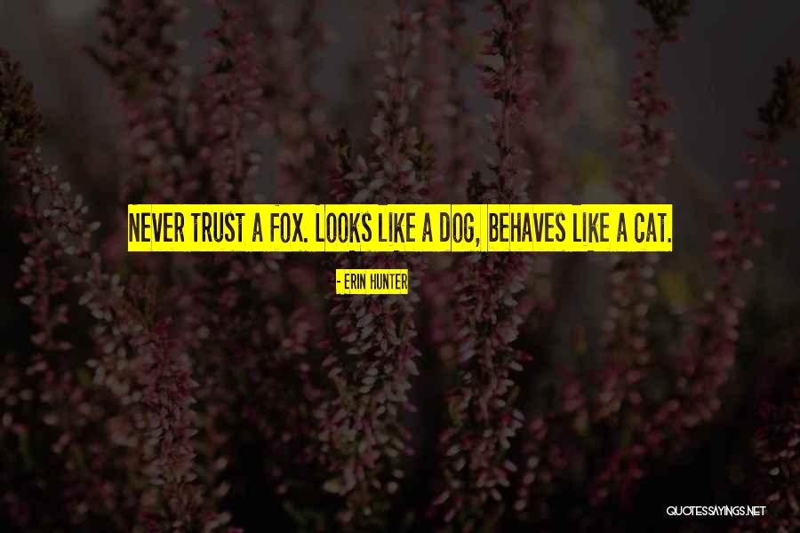 Warrior Cat Quotes By Erin Hunter Warrior Cat Quotes By Erin Hunter