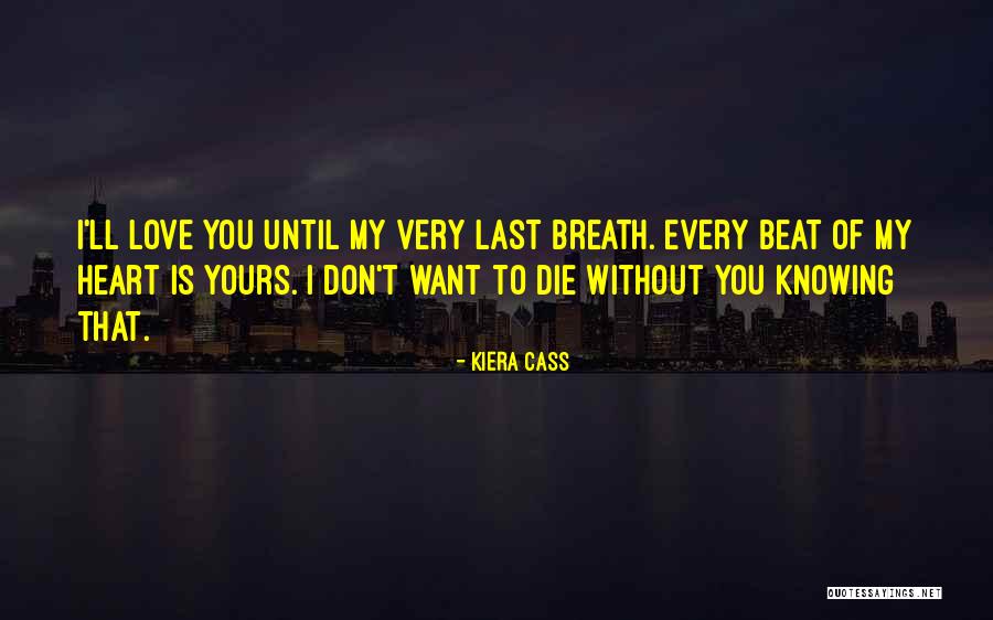 Warrior Cat Quotes By Kiera Cass Warrior Cat Quotes By Kiera Cass