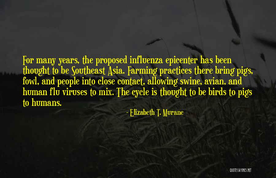 Warrior Cinemax Quotes By Elizabeth T. Murane Warrior Cinemax Quotes By Elizabeth T. Murane