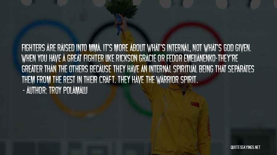 Warrior Spirit Quotes By Troy Polamalu