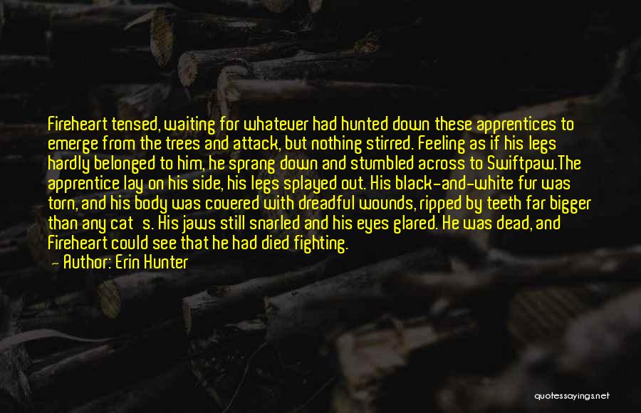 Warriors Death Quotes By Erin Hunter