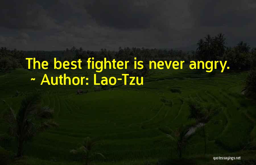 Warriorship Quotes By Lao-Tzu