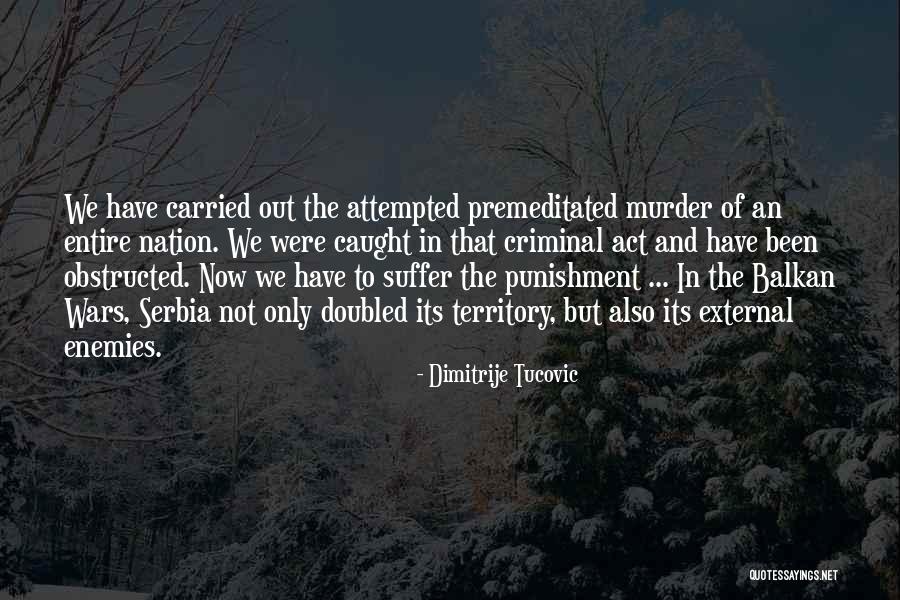 Wars Within A Nation Quotes By Dimitrije Tucovic Wars Within A Nation Quotes By Dimitrije Tucovic