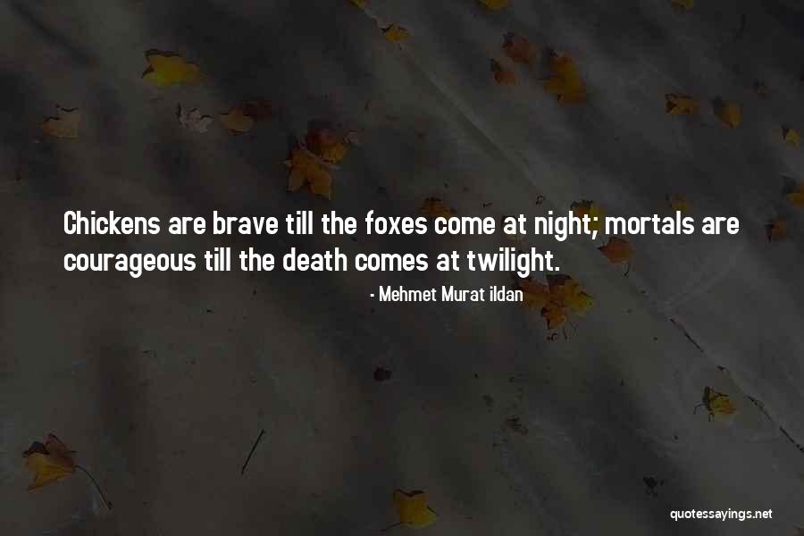 Warthog Quotes By Mehmet Murat Ildan Warthog Quotes By Mehmet Murat Ildan
