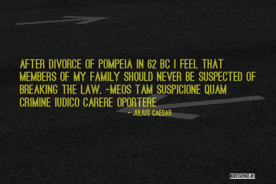 Wartman Dave Quotes By Julius Caesar Wartman Dave Quotes By Julius Caesar